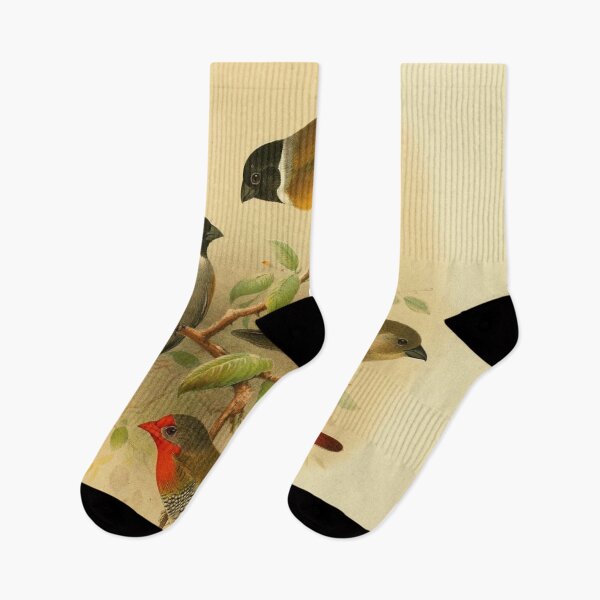 Item preview, Four Seed Eating Birds designed and sold by laguitan10.