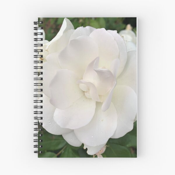 Item preview, White Rose designed and sold by Amanda JK.