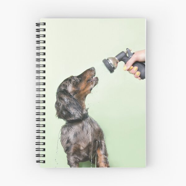 Item preview, Perro mojado, Dachshund (color) designed and sold by SophieGamand.