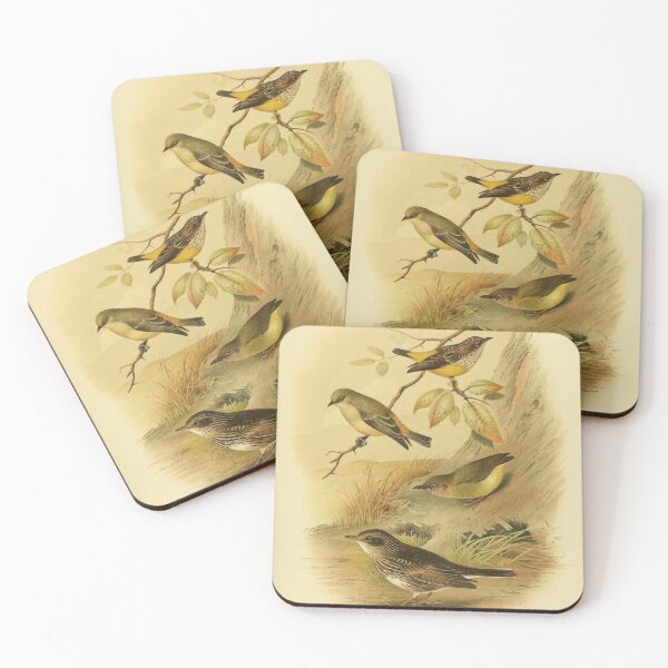 Item preview, Four Small Passerine Birds designed and sold by laguitan10.
