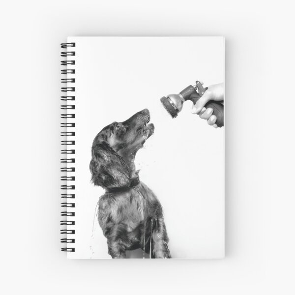 Item preview, Wet Dog, Dachshund (blanco y negro) designed and sold by SophieGamand.