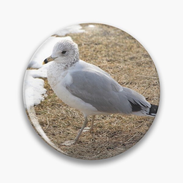 Item preview, Beautiful Seagull in the Winter  designed and sold by JariHawk.