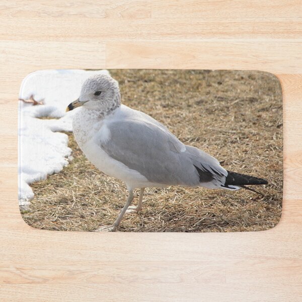 Item preview, Beautiful Seagull in the Winter  designed and sold by JariHawk.