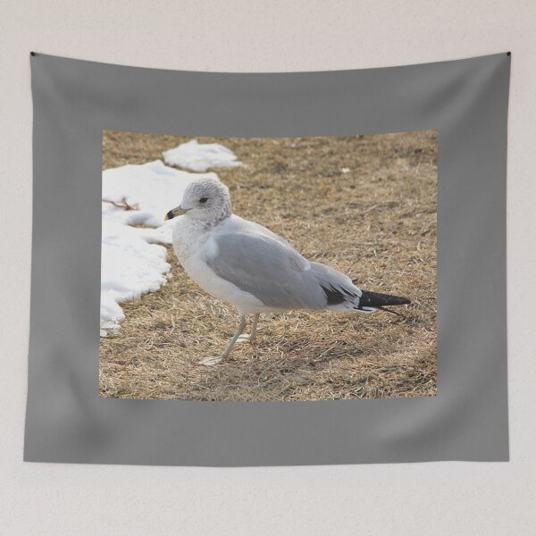 Item preview, Beautiful Seagull in the Winter  designed and sold by JariHawk.