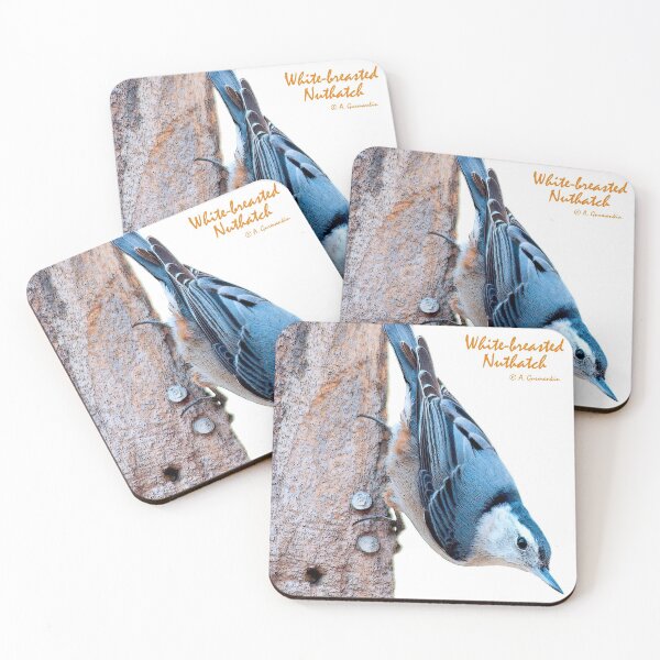 Item preview, White-breasted Nuthatch designed and sold by AMacGPhilly.
