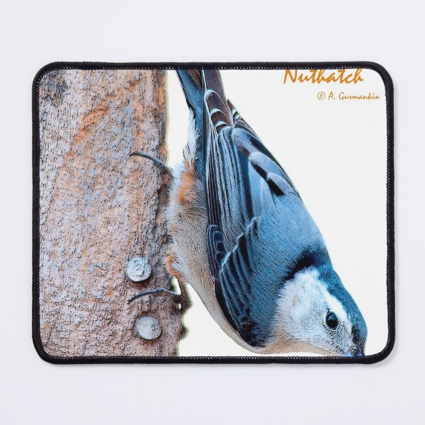 Item preview, White-breasted Nuthatch designed and sold by AMacGPhilly.