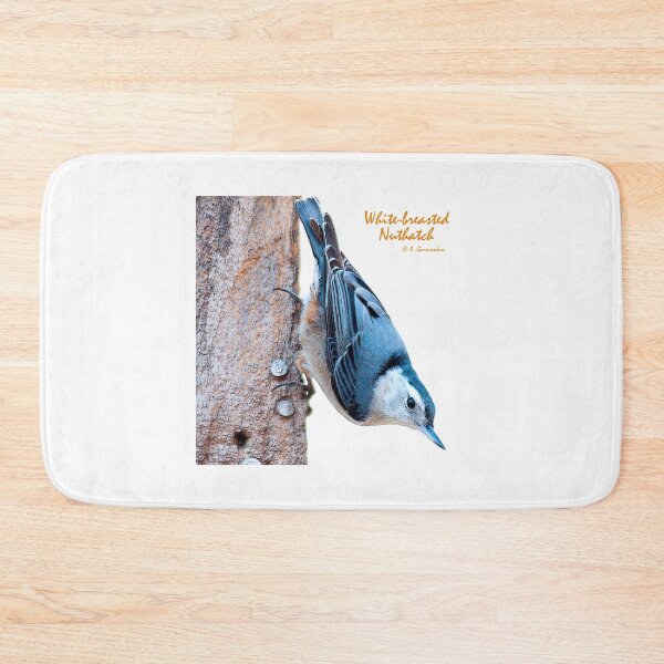 Item preview, White-breasted Nuthatch designed and sold by AMacGPhilly.