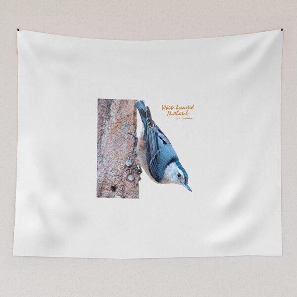 Item preview, White-breasted Nuthatch designed and sold by AMacGPhilly.