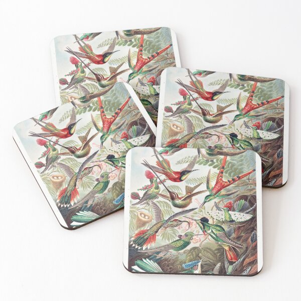 Item preview, Trochilidae–Kolibris from Kunstformen der Natur (1904) by Ernst Haeckel designed and sold by soulstop.