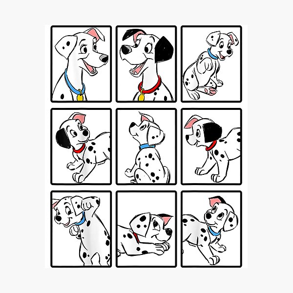 Dogs Group Shot Boxes Photographic Print