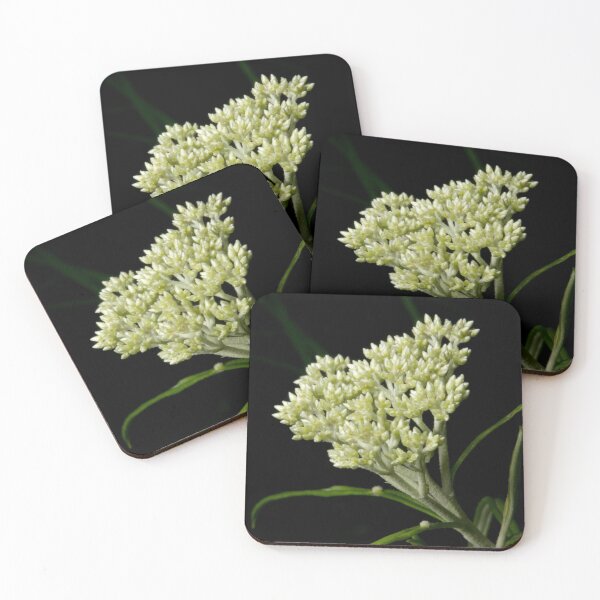 Item preview, Dogwood Coming designed and sold by GP1746.