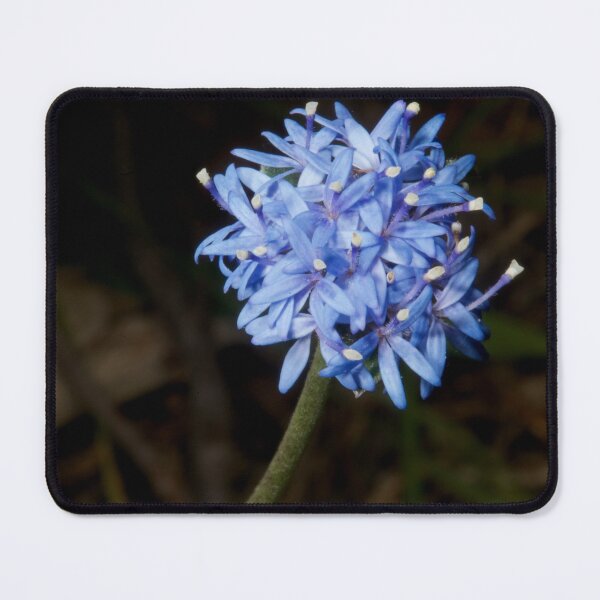 Item preview, Truly Blue Pincushion designed and sold by GP1746.