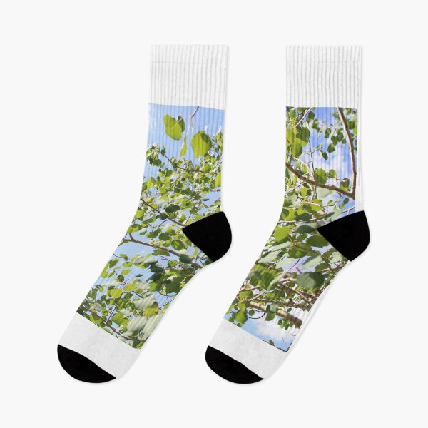Item preview, Tree Leaves / Nature  designed and sold by karaidosco.