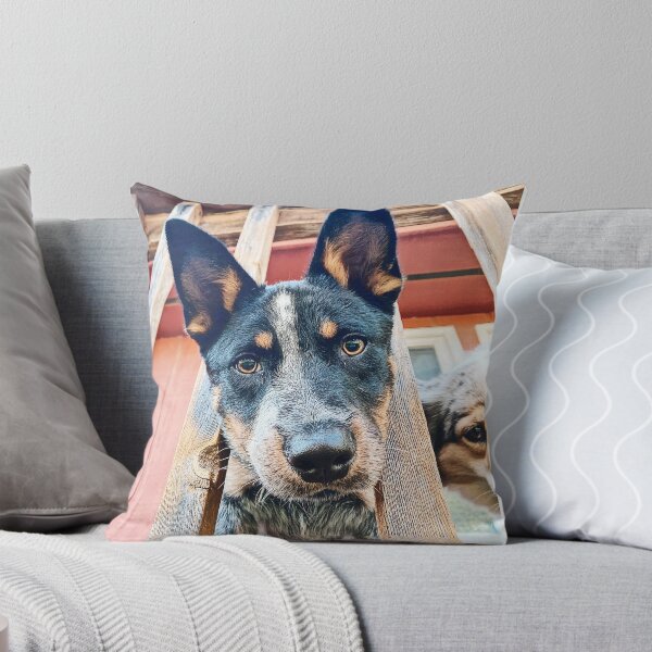 Item preview, Blue Heeler designed and sold by karaidosco.