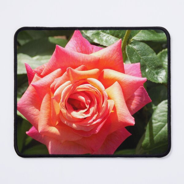 Item preview, Tea Rose Close-Up designed and sold by DragonCGallery.
