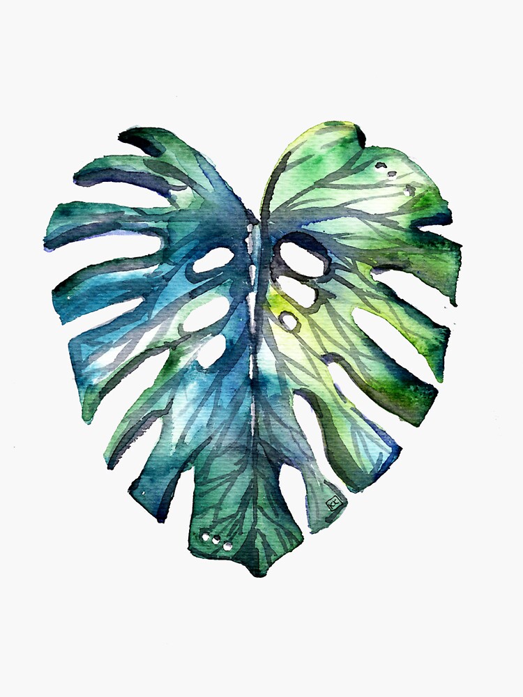 Monstera leave by kulawiecka