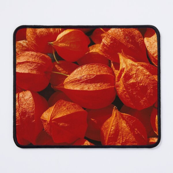 Item preview, physalis pattern designed and sold by Julia Kovtunyak.