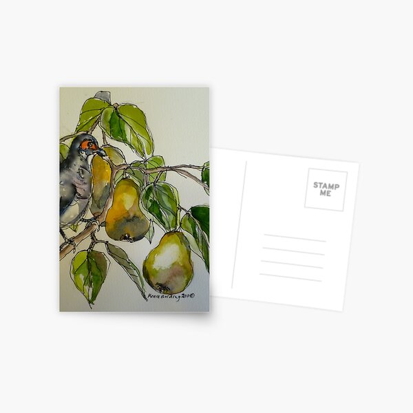 Partridge in a pear tree. Elizabeth Moore Golding 2011 Postcard