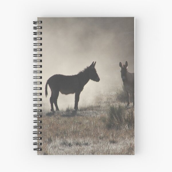 Artikelvorschau, 2 Burros entworfen und verkauft von Annsmithphoto.