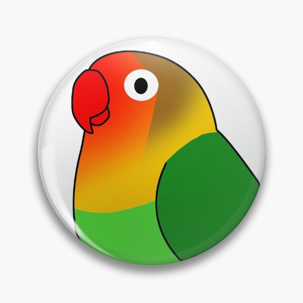 Item preview, Fluffy wild green fischer lovebird cartoon drawing designed and sold by lifewithbirds.