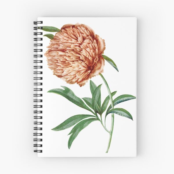 Item preview, A Vintage Floral Illustration designed and sold by lilach-e.