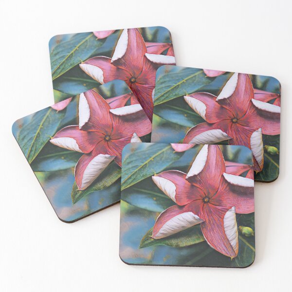Item preview, Vinca Flower Opening designed and sold by Heathermarie321.