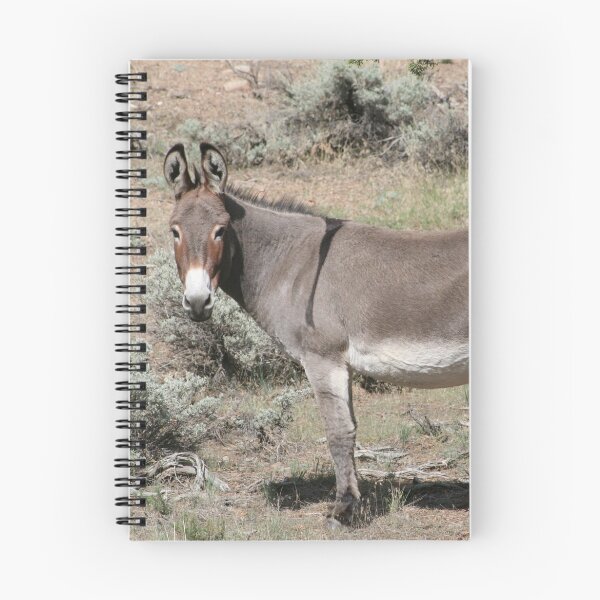 Item preview, Burro dejó flanco designed and sold by Annsmithphoto.