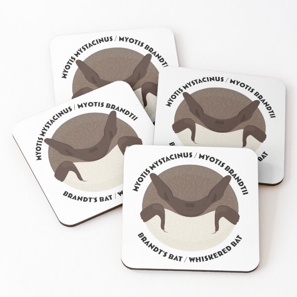 Item preview, Hibernating Whiskered / Brandt's bat with scientific and English names designed and sold by MarisG.