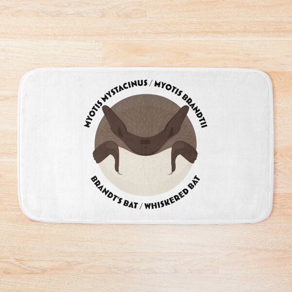 Item preview, Hibernating Whiskered / Brandt's bat with scientific and English names designed and sold by MarisG.