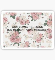 Vampire Weekend Horchata Sticker