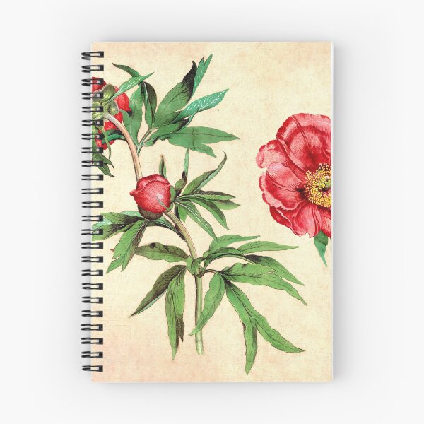 Item preview, Vintage Flowers Illustration designed and sold by lilach-e.