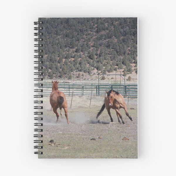Item preview, Horses at play designed and sold by Annsmithphoto.