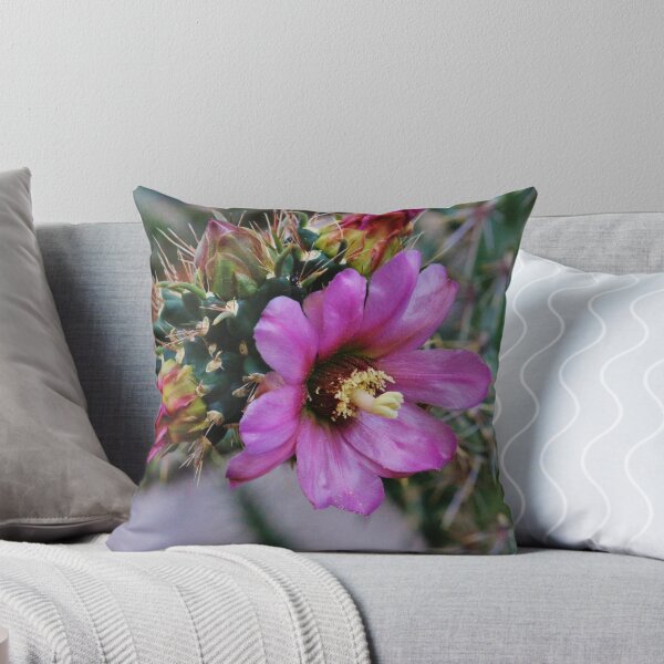 Item preview, Cactus flower designed and sold by SANDRA BROWN.