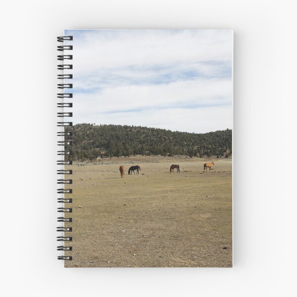 Item preview, 5 Horses Grazing designed and sold by Annsmithphoto.