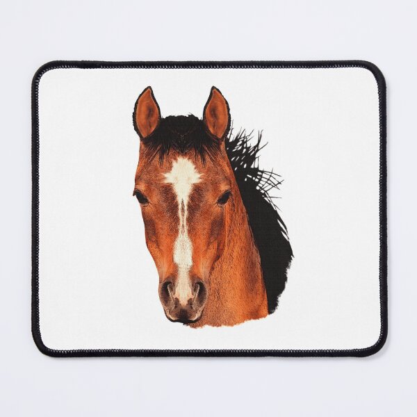 Item preview, cute foal, horse baby, super cute horse photos designed and sold by Kirei-Lily.