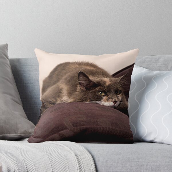 Item preview, FLAT OUT.........! designed and sold by Roy  Massicks.