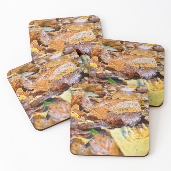 Item preview, Autumn designed and sold by MY Scotland.