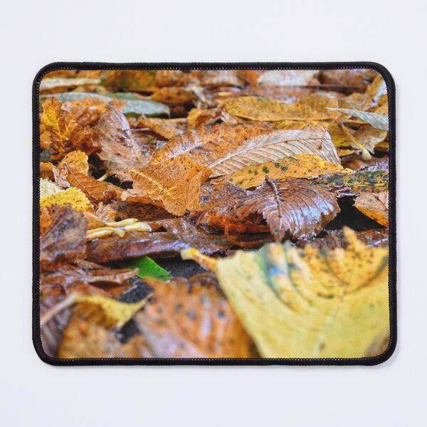 Item preview, Autumn designed and sold by MY Scotland.