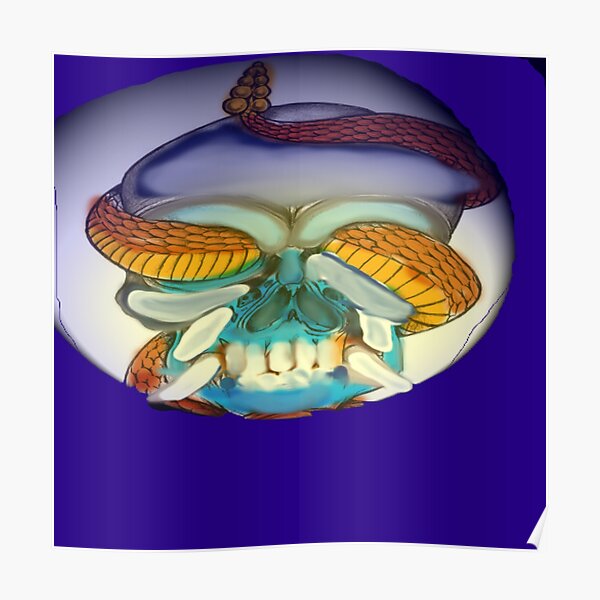 skull Poster