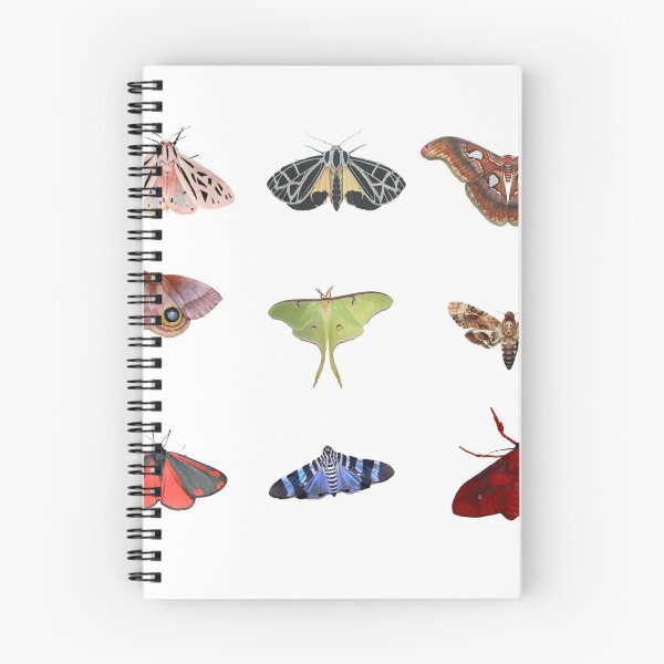 Item preview, Moths designed and sold by Onodera.