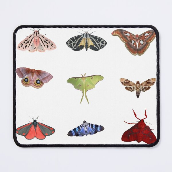 Item preview, Moths designed and sold by Onodera.
