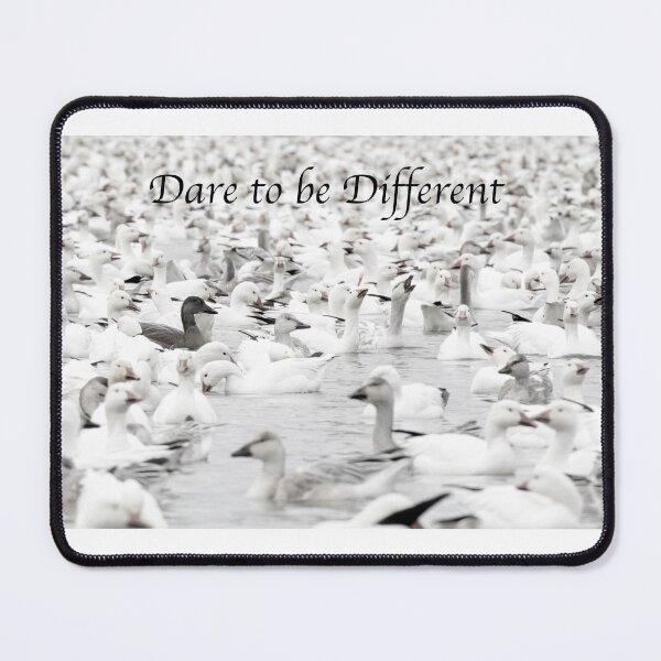 Item preview, Dare to be Different - Snow Goose designed and sold by James Cumming.