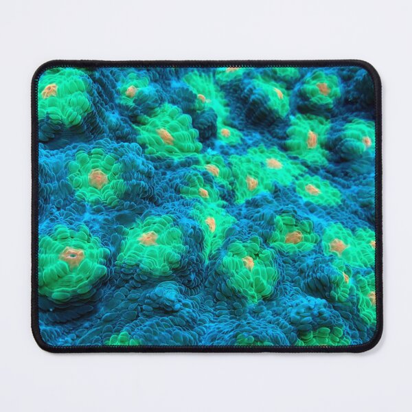 Item preview, Soft Coral designed and sold by likbatonboot.