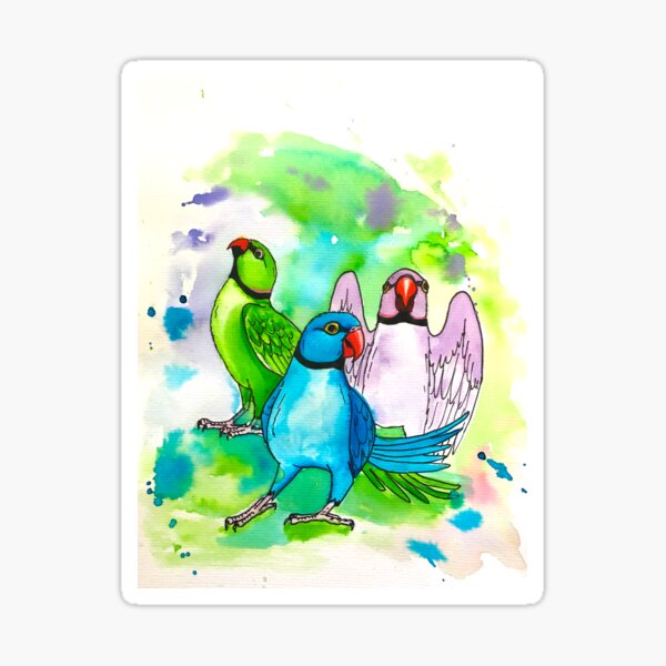 Ringneck Rainbow Sticker