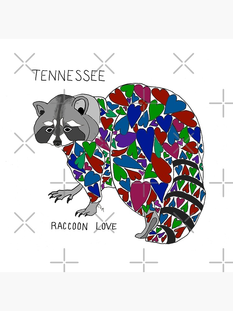 raccoon for sale tennessee