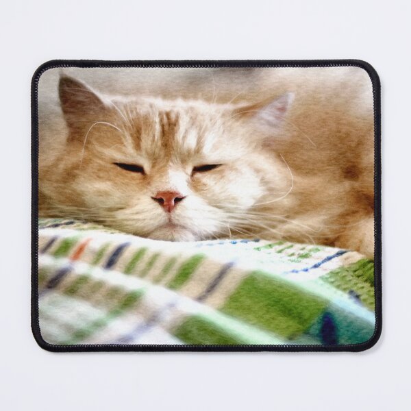 Item preview, Lazy day for Mr. Cesare designed and sold by Pino 'Delfino' Esposito.