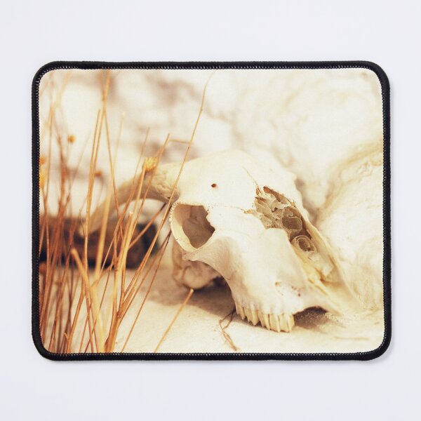 Item preview, Animal skull in a cave designed and sold by Sara Sanchez PHOTO.