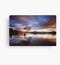 One Calm Tree Canvas Print