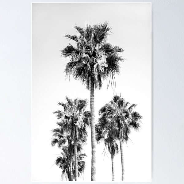 Item preview, Palm Trees Black & White Vibes #8 #wall #decor #art  designed and sold by Anita's & Bella's Art.