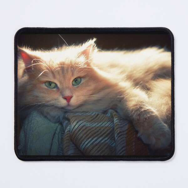 Item preview, Lazy Cesare designed and sold by Pino 'Delfino' Esposito.